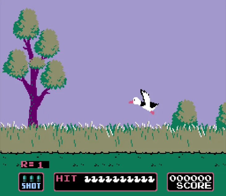 Duck hunter